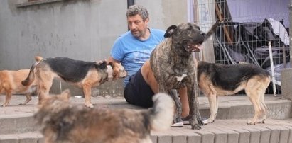 Poświęcił życie zwierzętom, teraz trafił za kratki. "Jak ktoś zawodowo ratuje zwierzęta, musi liczyć się z ryzykiem"