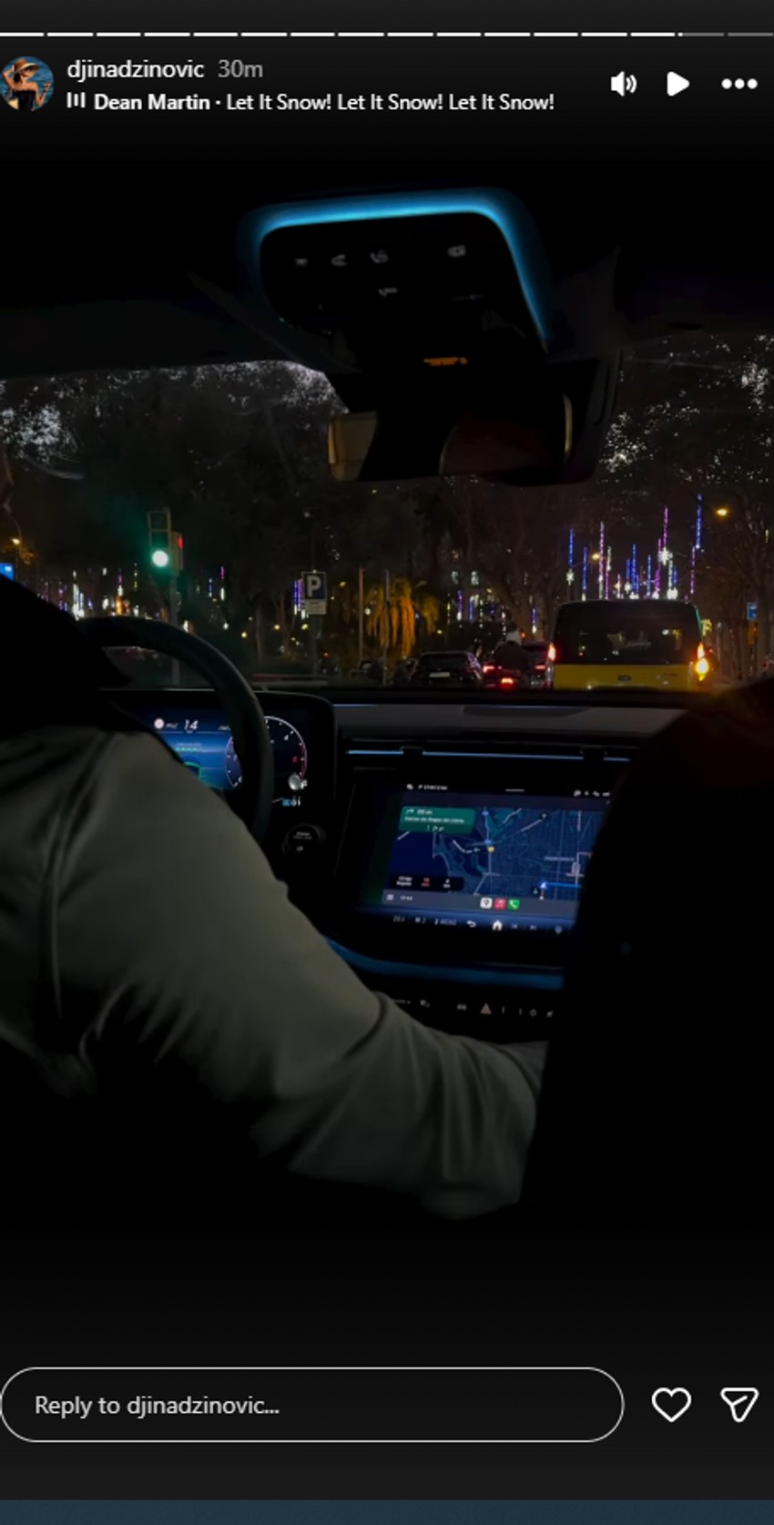 Đina Džinović objava