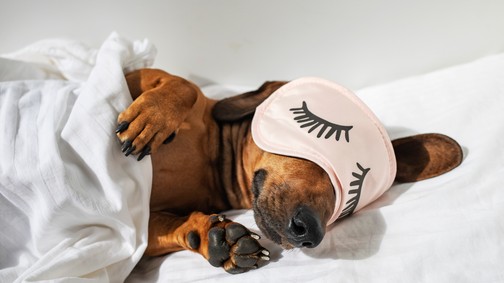 Kedvenc alvópózod félelmetesen sokat elárulhat a személyiségedről: erre utal, hogy milyen pozícióban alszol