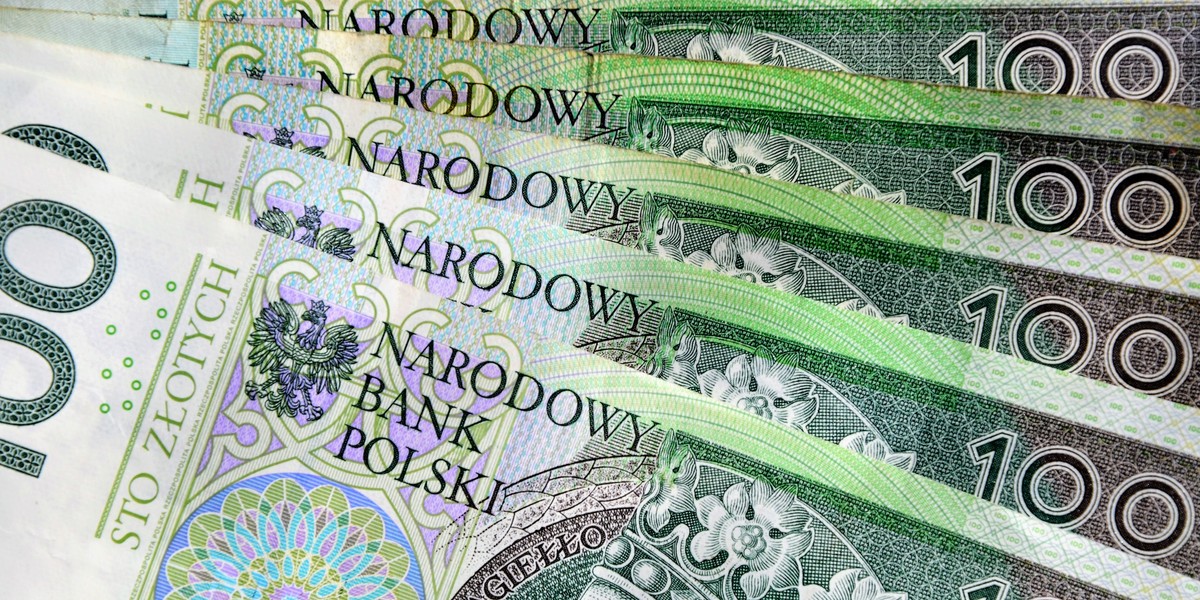 Najbardziej zadłużone JDG działają w branży handlowej. W sumie mają do spłacenia ponad 1,6 mld zł. Z tego 873 mln zł to dług ponad 20 tys. firm zajmujących się handlem hurtowym.