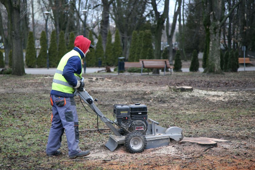 Wielka awantura o park Powstańców