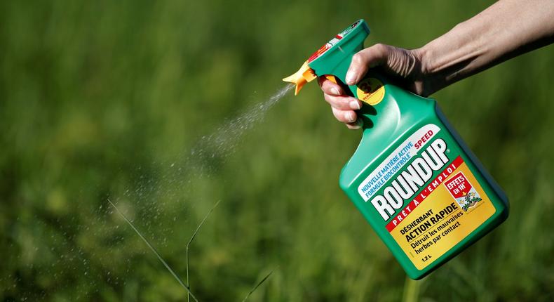 FILE PHOTO: A woman uses a Monsanto's Roundup weedkiller spray without glyphosate in a garden in Ercuis near Paris, France, May 6, 2018. REUTERS/Benoit Tessier/File Photo