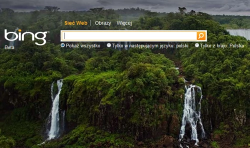 Bing działa jak Google, ma podobny do Google interfejs. Różni go ładna tapeta, ale poza nią, użytkownicy nie są w stanie wskazać zbyt wielu różnic