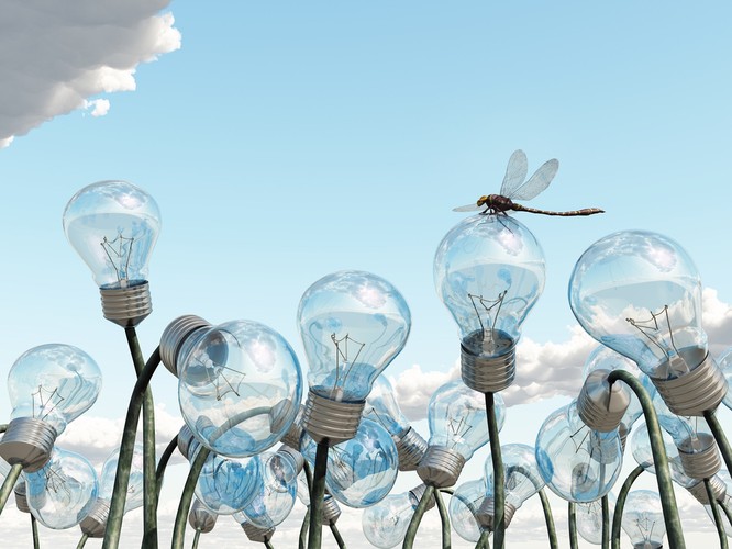 11. Inspirujące przywództwo.  Liderzy, którzy są inspirujący potrafią tworzyć rezonans, czyli „zarażać” swoimi emocjami innych. To sprawia, że ludzie z ich otoczenia podążają za ich wizją, mając jednocześnie poczucie realizowania 'wspólnej misji'. Potrafią również jasno wyznaczyć cele i określić na czym polega „wspólna misja”. Dzięki temu codzienne zadania pracowników stają się bardziej ekscytujące, jak tłumaczy Daniel Goleman.