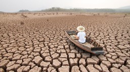 pierwszy dzień po apokalipsie