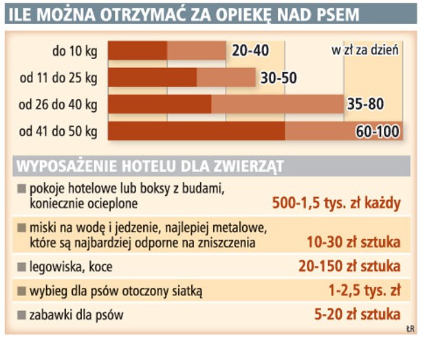 Ile można otrzymać za opiekę nad psem