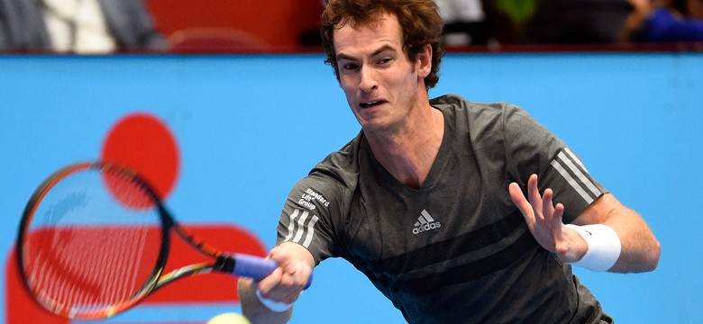 Murray i Ferrer w ćwierćfinale turnieju ATP w Wiedniu