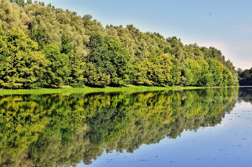 Gornje podunavlje rezervat prirode