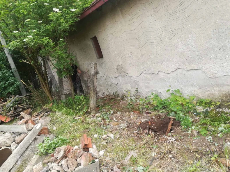 Trošna kuća koju su Violetini prijatelji počeli da renoviraju 