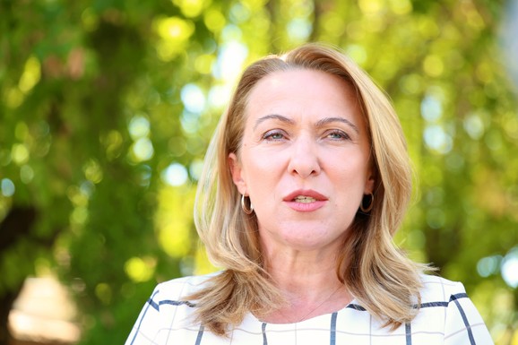 "IZVINJAVAM SE PREDSEDNIKU, VLADI SRBIJE I PREMIJERU" Paunović o svojoj izjavi o etničkom čišćenju Kosova: "Neprijatno objašnjavati da to nije politika predsednika, ni Vlade"