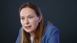 pełczyńska-nałęcz o safe 0 proc.: podpozycja wyjęta z kapelusza