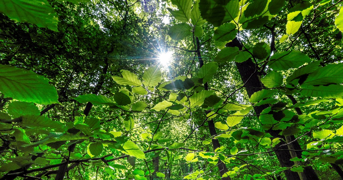 Co nam daje kontakt z przyrodą? "Wyjście z roli bywa bezcenne"