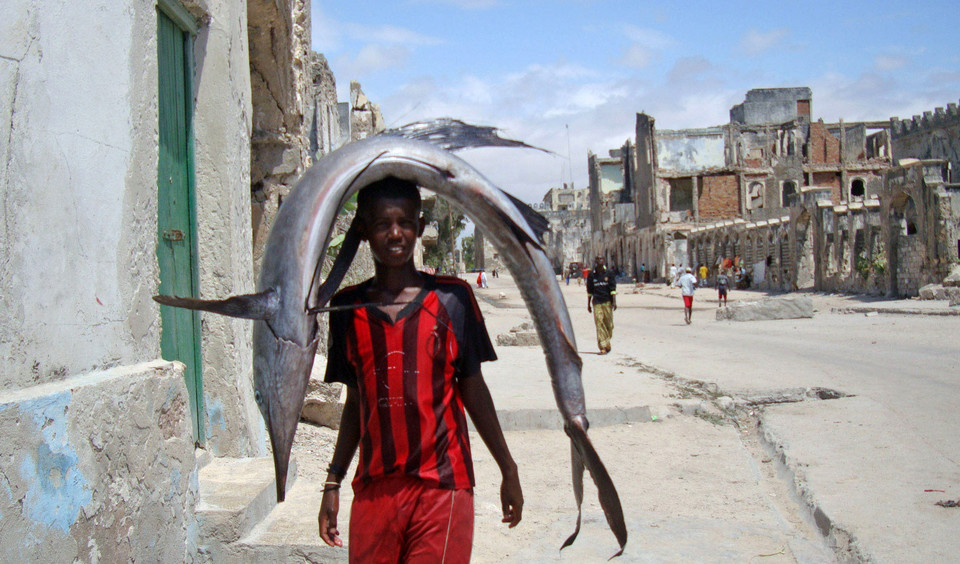 A Somali boy carries fish from the Indian Ocean on his head to the Hamarweyne market in southern Mogadishu