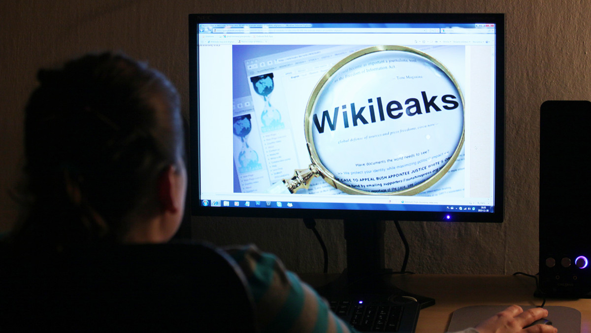 Haker znany pod pseudonimem "Jester" (ang. "Błazen") oświadczył, że to on stoi za cyberatakiem, który doprowadził do przejściowego zamknięcia portalu WikiLeaks w niedzielę, na chwilę przed tym jak w witrynie opublikowano około 250 tysięcy poufnych dokumentów sporządzonych przez amerykańską dyplomację.
