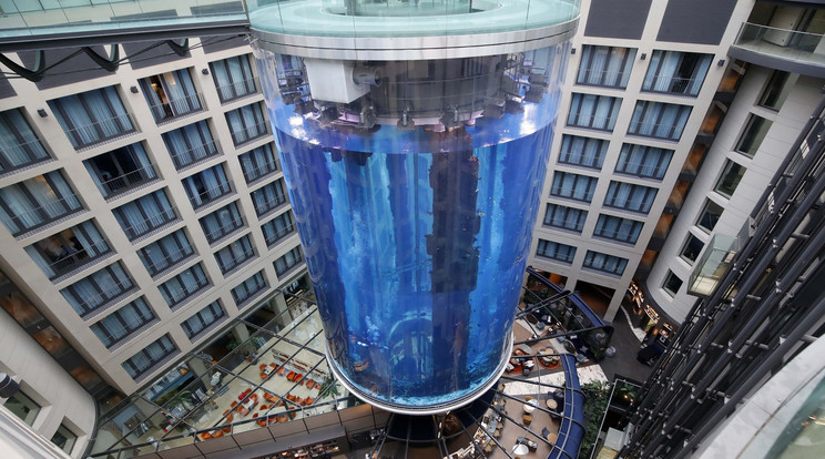 Megsemmisült Berlin tengeri akváriuma./Fotó: Northfoto