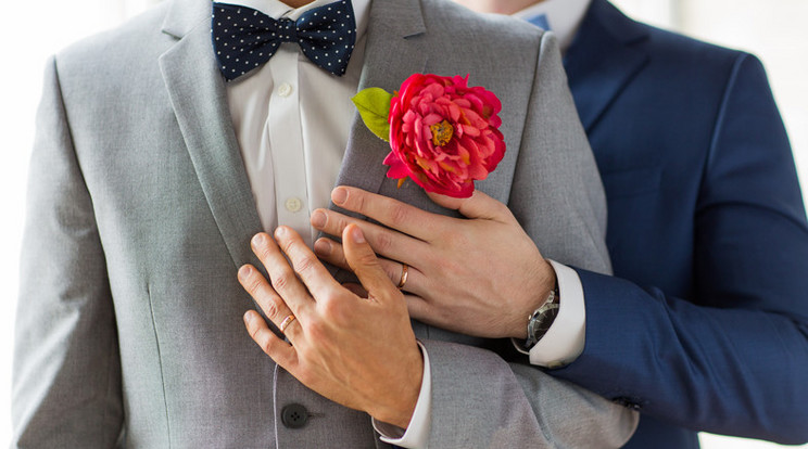 Nem szerepel a házasságok kizáró okai között az azonos nem /Foto: Shutterstock
