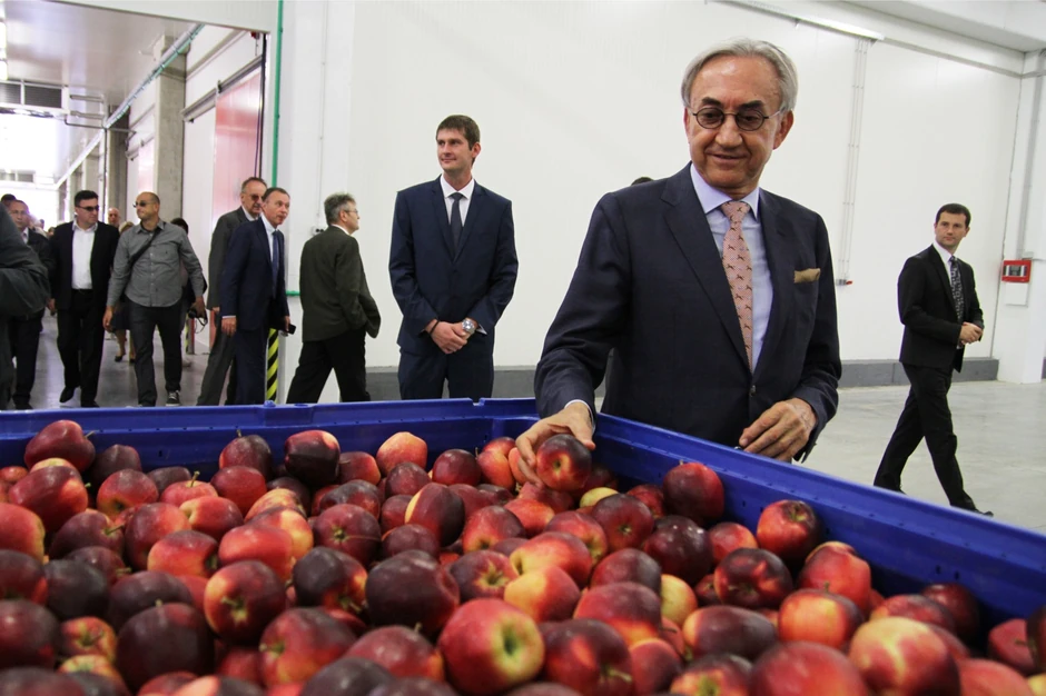 Voćnjak u Čelarevu je jedan od najvećih u ovom delu Evrope