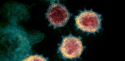 Odkryto nowy wariant koronawirusa. R1 ma zwiększoną odporność na przeciwciała, które dają szczepionki