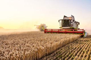 Ministrowie rolnictwa Polski i Francji ponowili sprzeciw wobec umowy UE z Mercosur