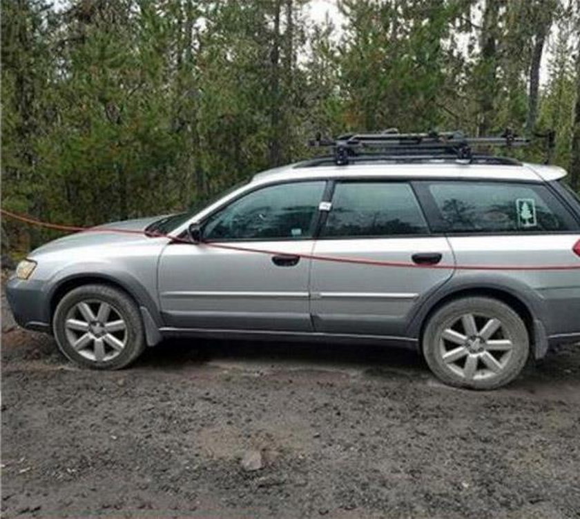 Jadł pszczoły przez tydzień. Dzięki temu przeżył