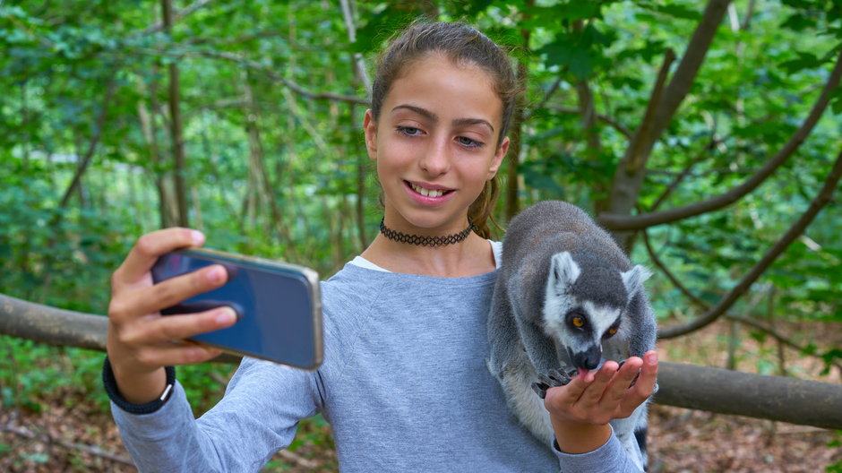 Lemur, Madagaskar