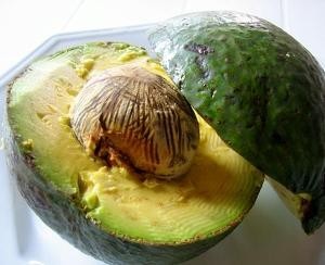 avocado1-xenia-d000000A3c1d8175b0f42