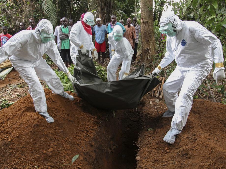 Epidemia Eboli Bilans Ofiar Wirus Ebola Zasięg Objawy Newsweekpl Świat Newsweekpl 0598