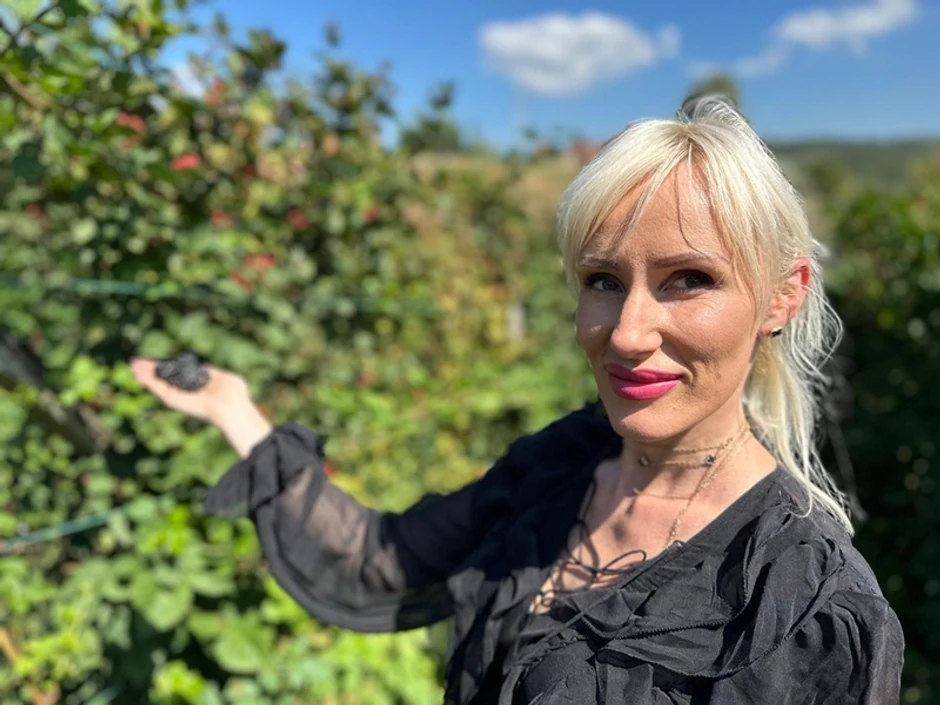 Beograđanka otišla na selo da gaji kupine