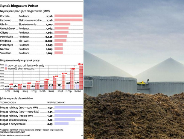 Rynek biogazu w Polsce