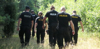 Chcieli handlować narkotykami na Woodstocku. Zatrzymała ich policja!