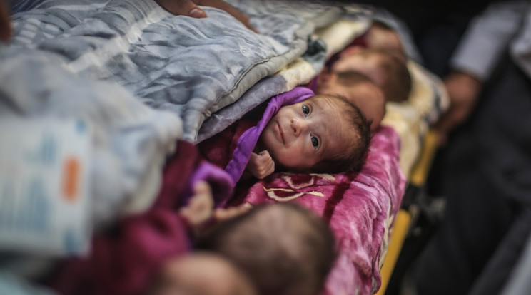 Koraszülötteket mentettek Gázában / Fotó: Northfoto
