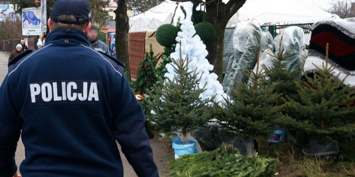 Policja i straż leśna pilnuje choinek