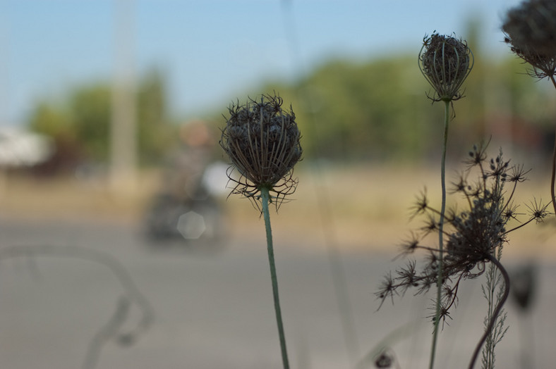 Polskie motocykle i samochody na torze FSO