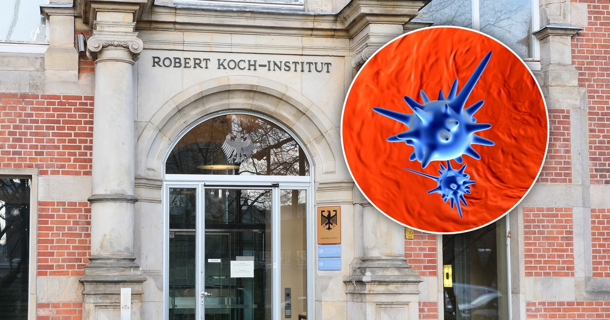 Dzikiego wirusa wykryto tuż za polską granicą. Europa miała być od niego wolna