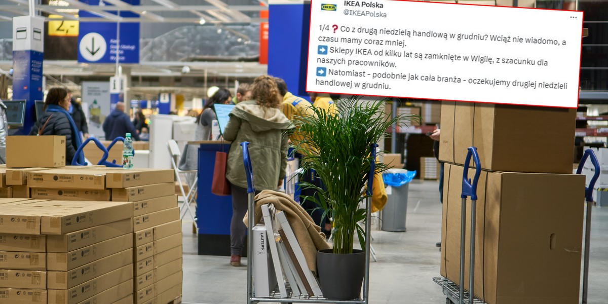 Wielkie sieci, jak IKEA, mają problem z grafikami