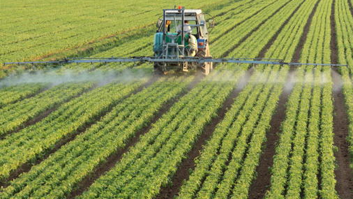 Polska jest wolna od wysiewu i uprawy roślin GMO – powiedział we wtorek w Poznaniu minister rolnictwa Stanisław Kalemba. Przeprowadzone w całym kraju kontrole stosowanego materiału siewnego nie wykazały, by rolnicy wykorzystywali kukurydzę GMO.
