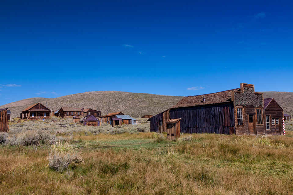 Bodie