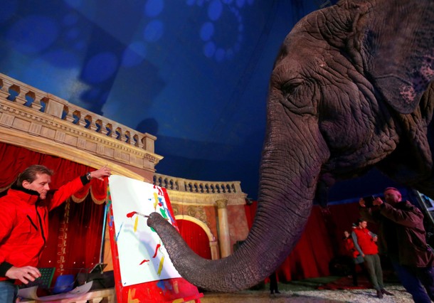 Sandra, a 42-year-old elephant, paints with her trunk in a Hungarian travelling circus of Florian Ri