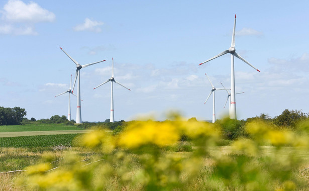 Zielona rewolucja w biznesie. Firmy naprawdę dbają o środowisko czy tylko kuszą naiwnych klientów?