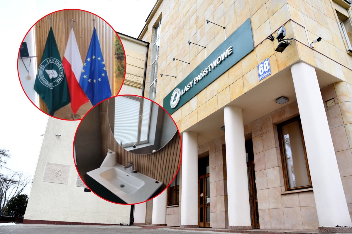 Lasy Państwowe z nietypową łazienką