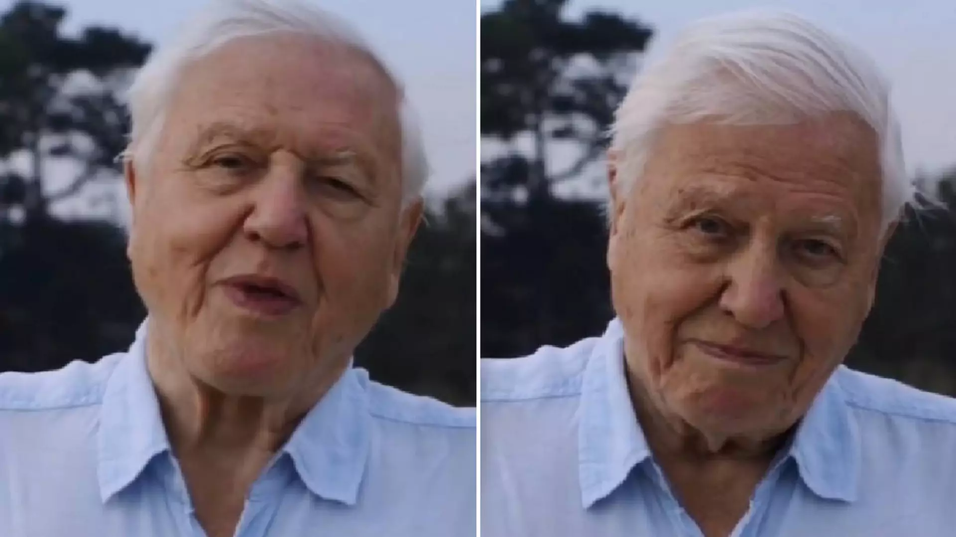 "Świat ma kłopoty". 94-letni David Attenborough założył Instagrama i zdobył milion fanów