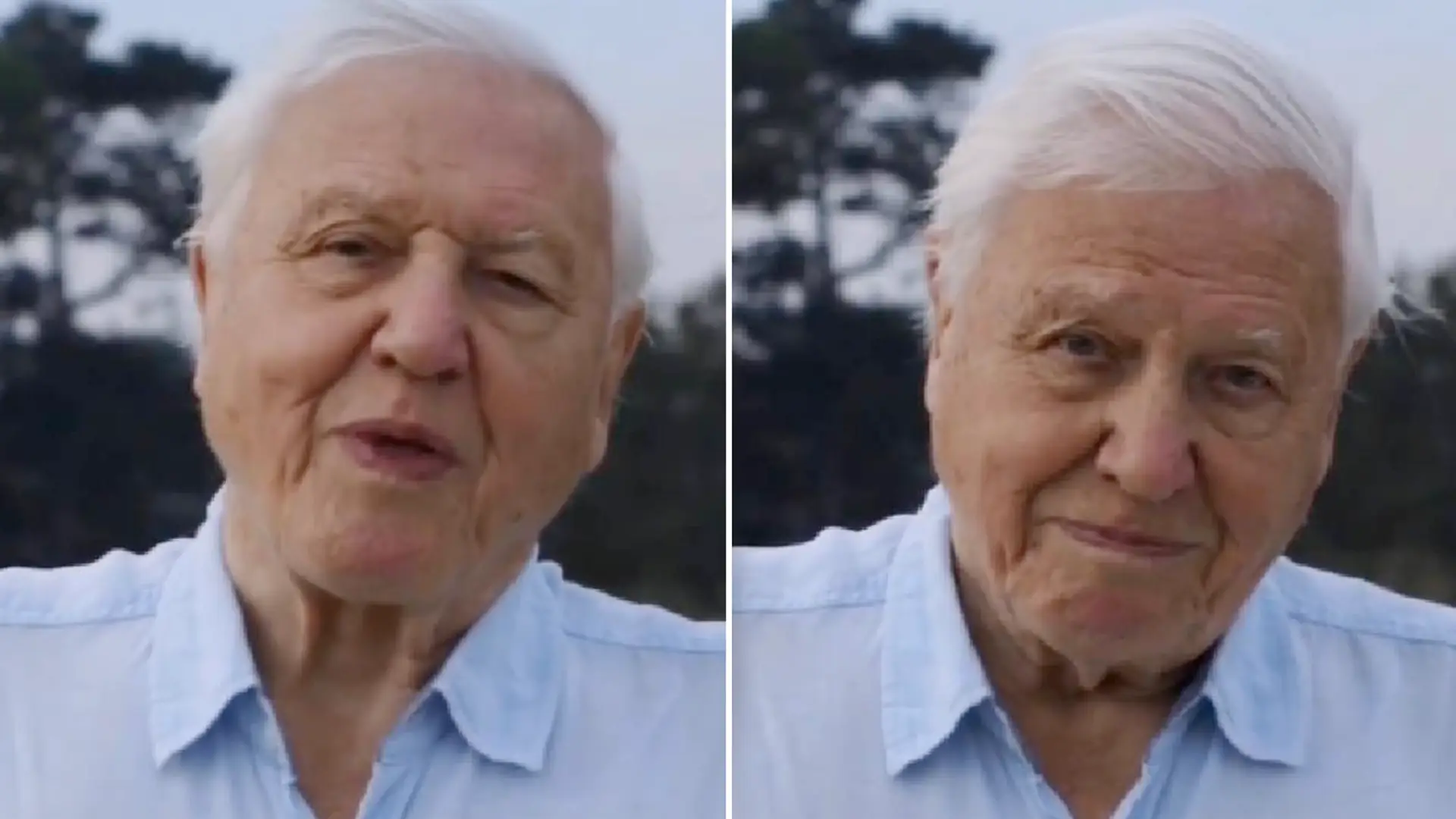 "Świat ma kłopoty". 94-letni David Attenborough założył Instagrama i zdobył milion fanów