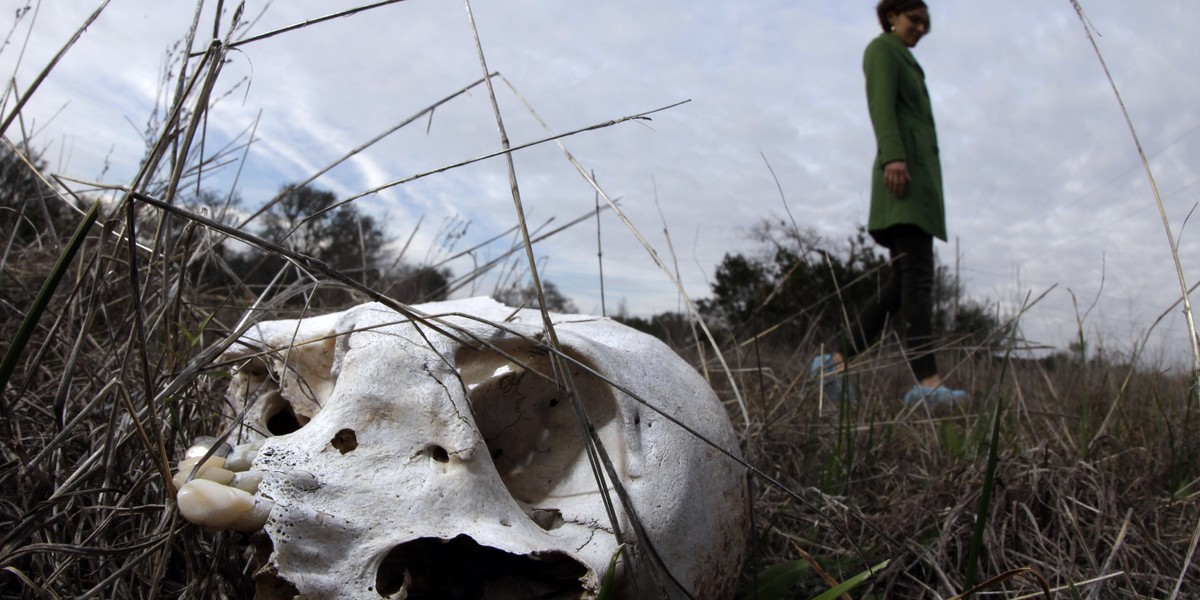 Trupia farma przy uniwersytecie  San Marcos Texas - The Forensic Anthropology Centre