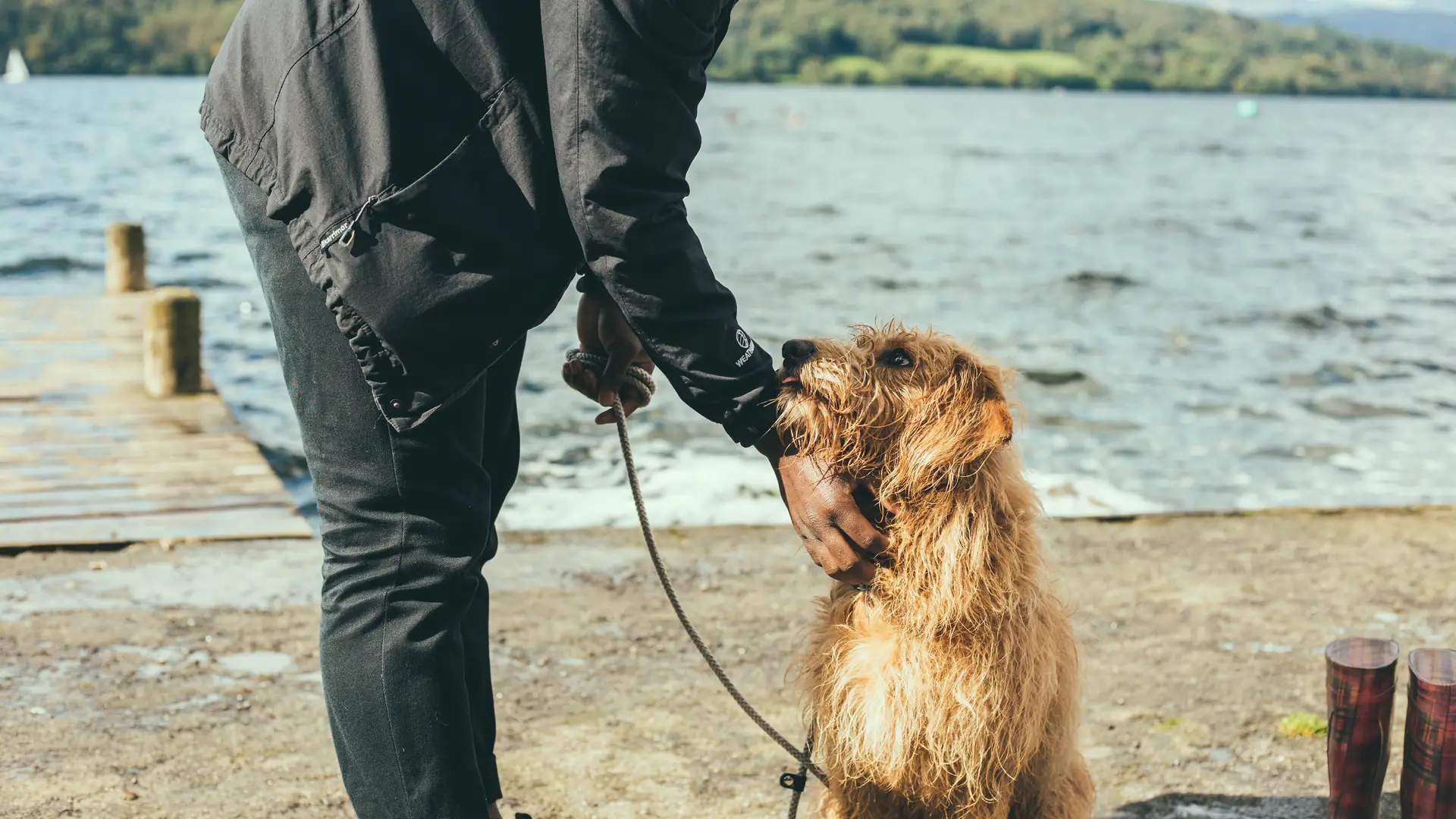 Depresja - kiedy nie pomagają leki, nadzieją może być adopcja zwierzaka