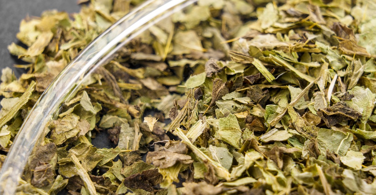 Zioła oczyszczające wątrobę i trzustkę. Działają jak odtrutka