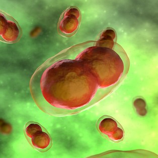Huragan ospy wietrznej sieje spustoszenie nad Wisłą