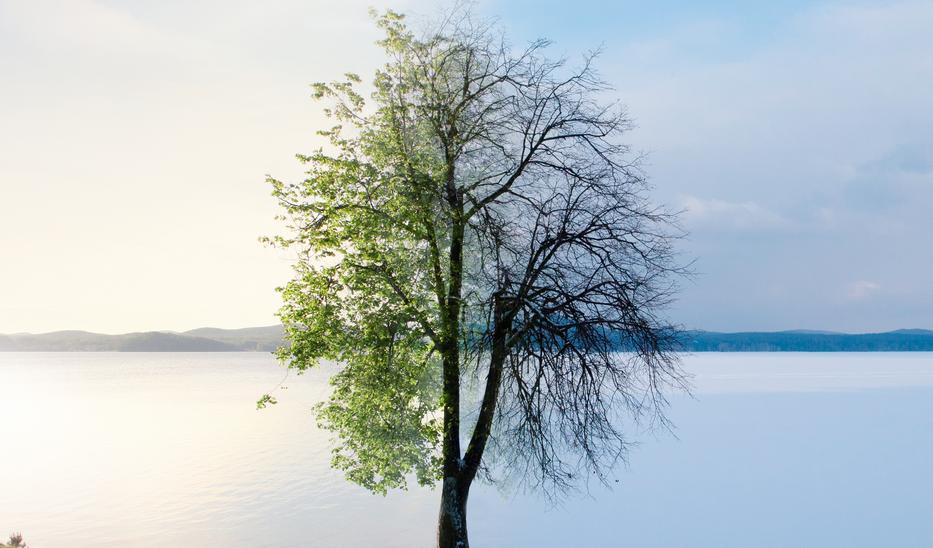 Nem sokáig tart már az nyár az őszben - fotó: Shutterstock