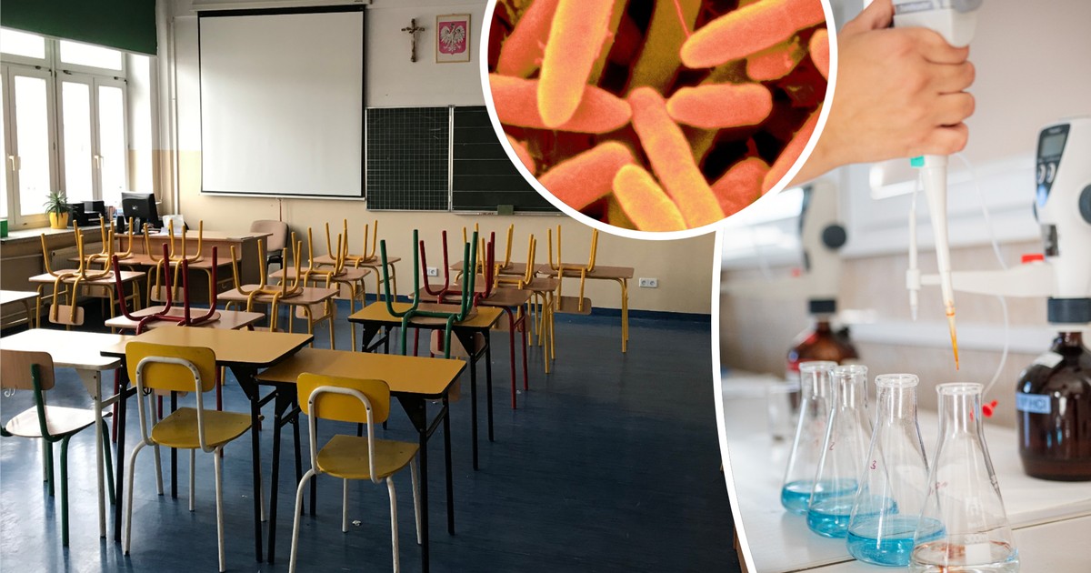 Gruźlica w szkole: Nauczyciele i uczniowie pod lupą