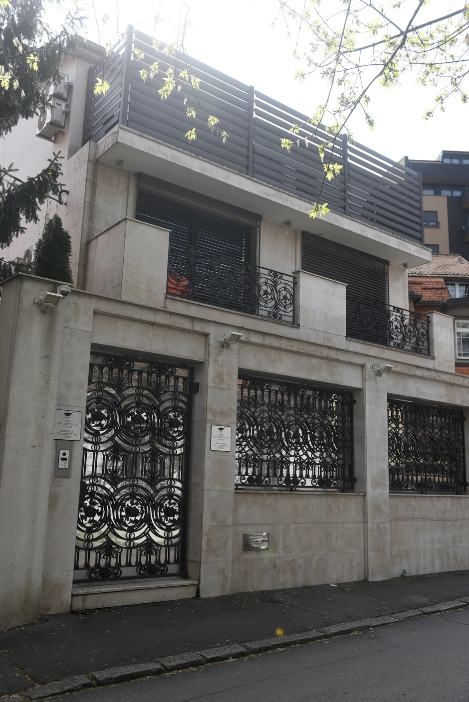 Dijana Didi Janković