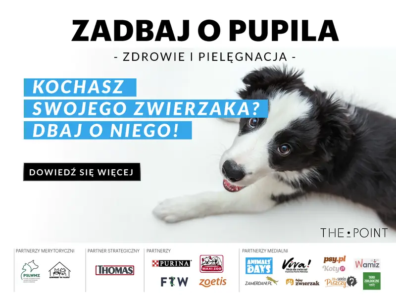 Kochasz swojego zwierzaka? Dbaj o niego! 